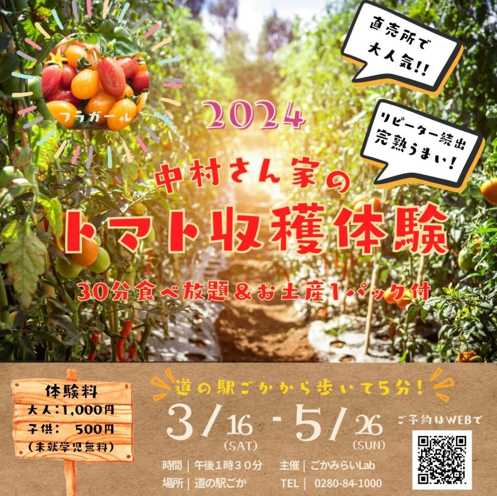 【参加者募集】食べ放題！中村さん家の完熟ミニトマト収穫体験に関するページ