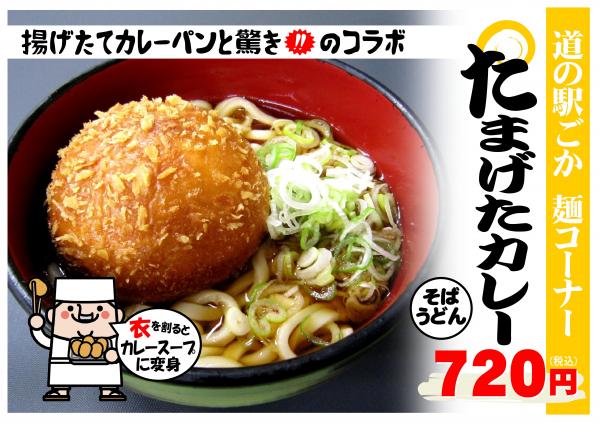 たまげたカレーそば・うどん230606