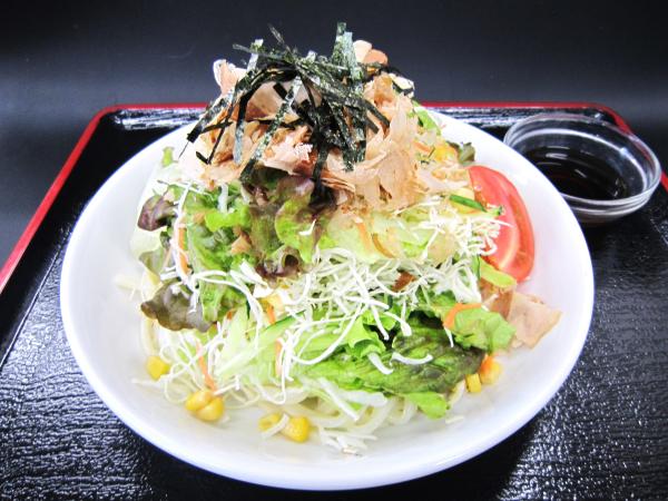 サラダうどん250516