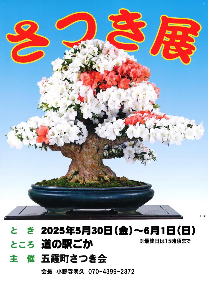 【日程】5/30（金）～6/1（日）第17回五霞町さつき展をピックアップ
